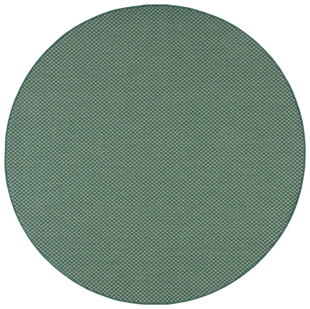 Safavieh Terrace 800 6'-7