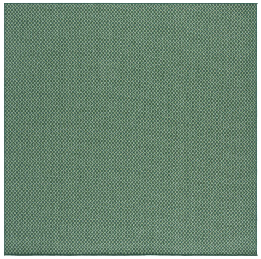 Safavieh Terrace 800 6'-7