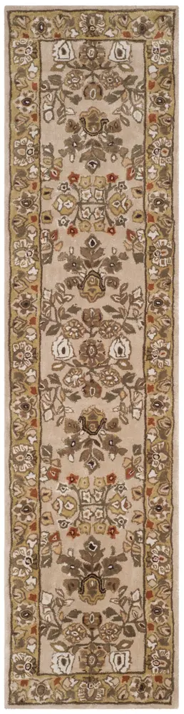 Safavieh Total Performance 2'-3