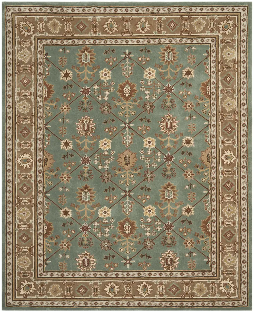 Safavieh Total Performance 9'-0