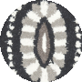 Dark Grey / Ivory