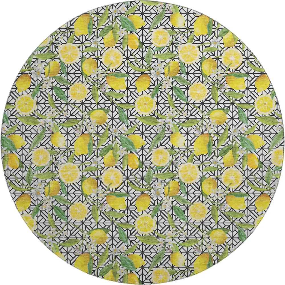 Mayfield AMF160 Yellow 8' x 8' Rug