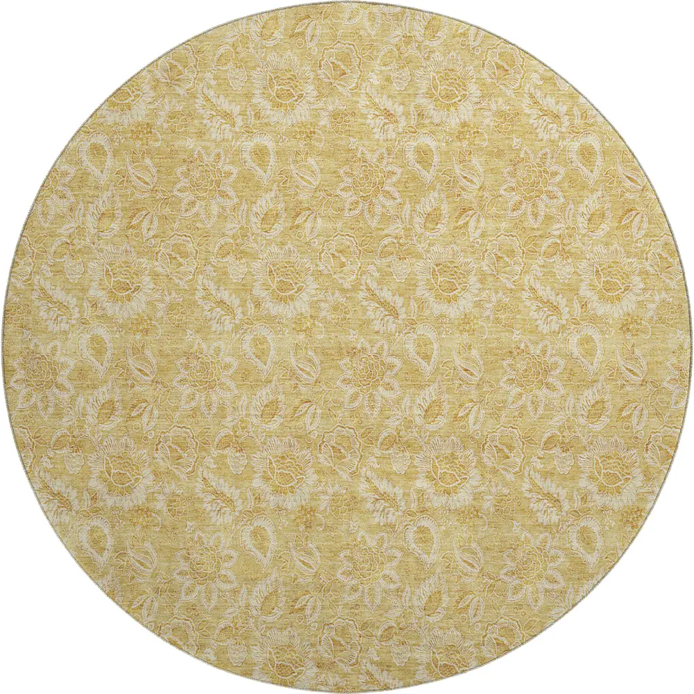 Mayfield AMF661 Gold 8' x 8' Rug
