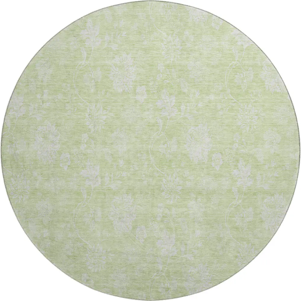 Mayfield AMF681 Aloe 8' x 8' Rug