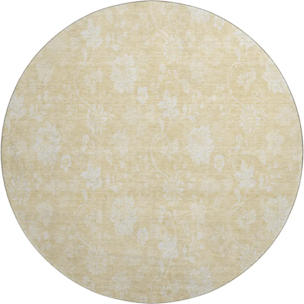 Mayfield AMF681 Honey 8' x 8' Rug