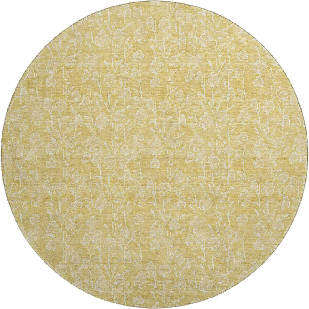 Mayfield AMF691 Gold 8' x 8' Rug