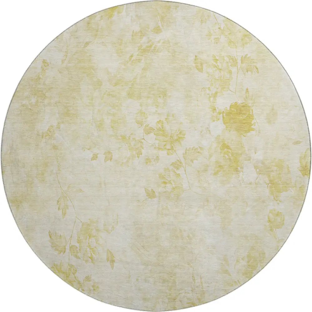 Mayfield AMF724 Gold 8' x 8' Rug