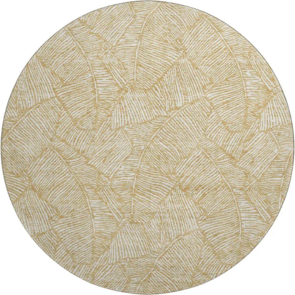 Mayfield AMF913 Gold 8' x 8' Rug