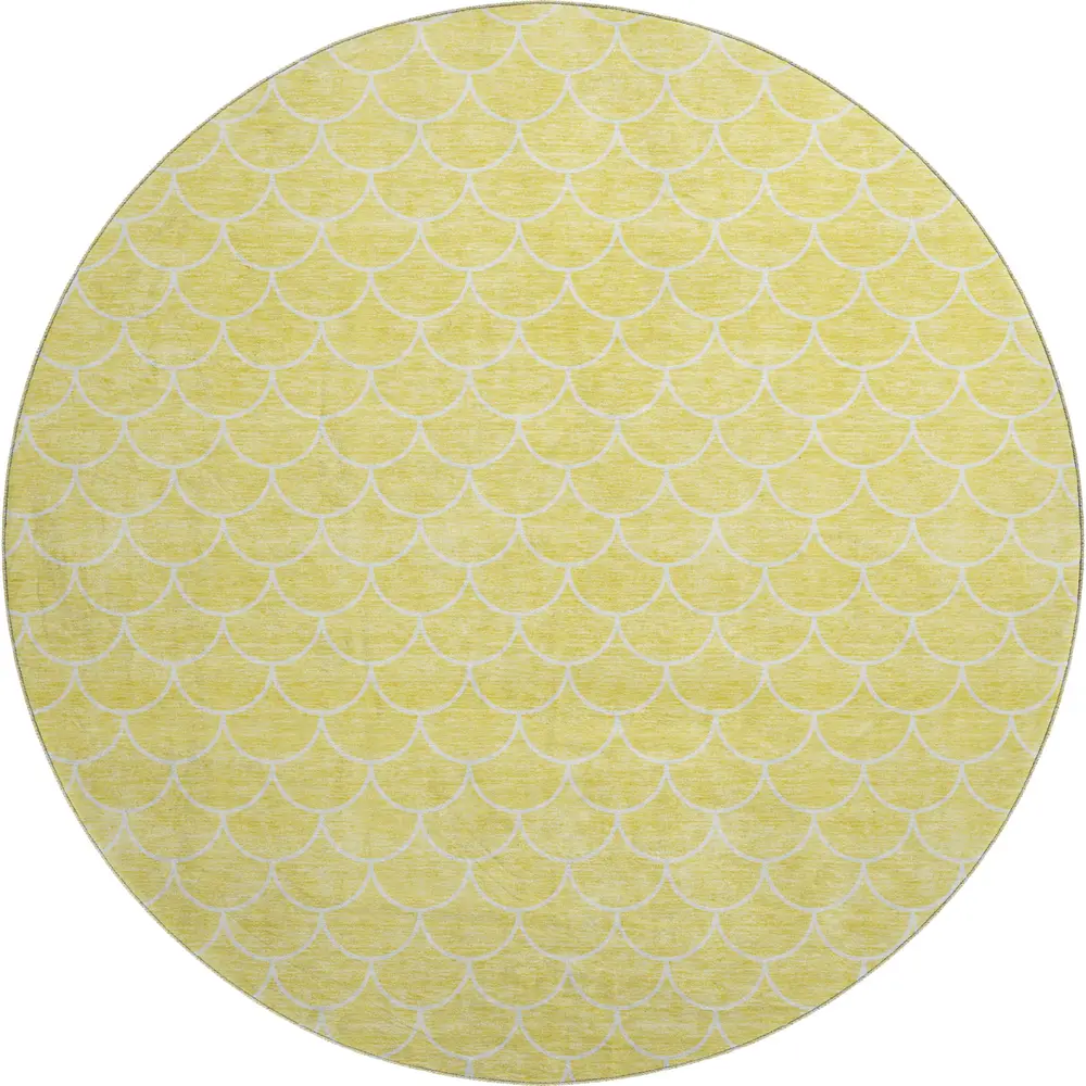 Mayfield AMF933 Yellow 8' x 8' Rug