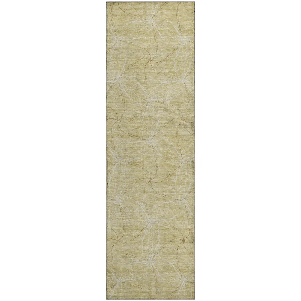 Mayfield AMF968 Wheat 2'3