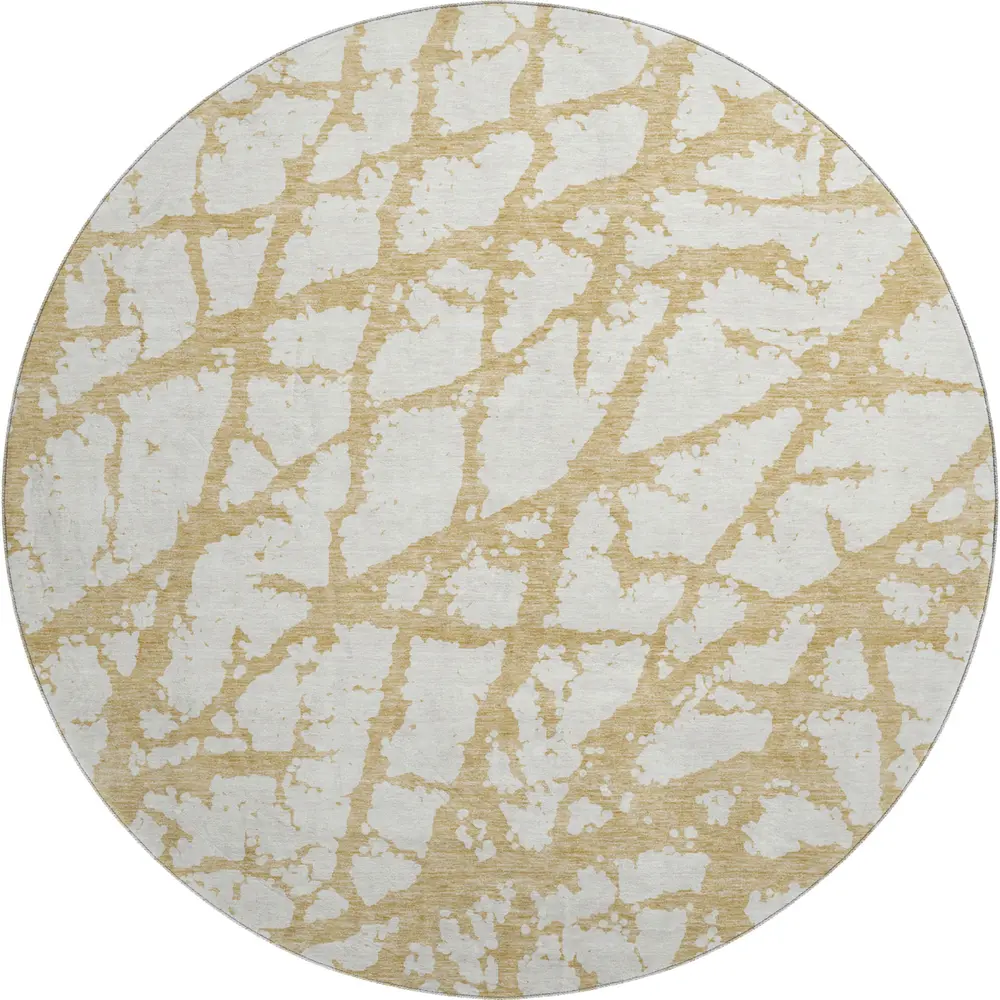 Mayfield AMF972 Gold 8' x 8' Rug
