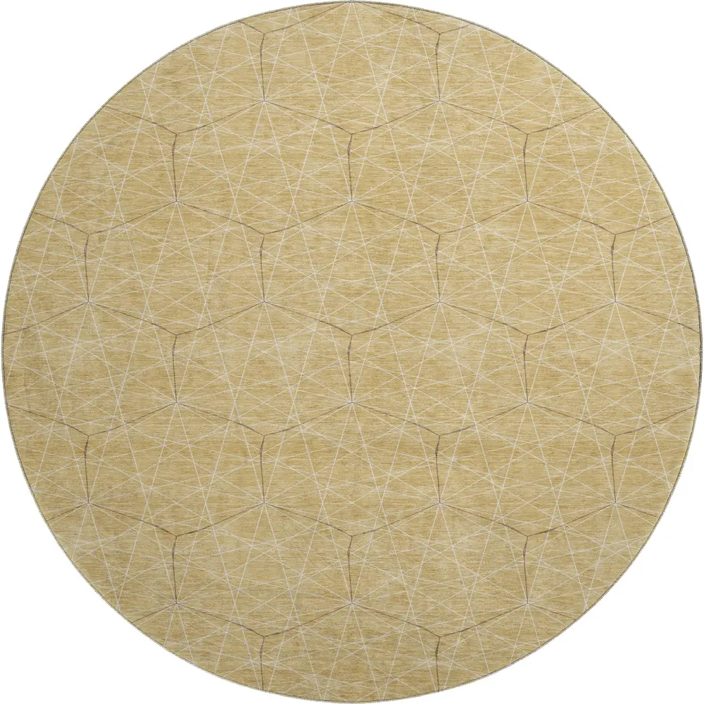 Mayfield AMF987 Gold 8' x 8' Rug