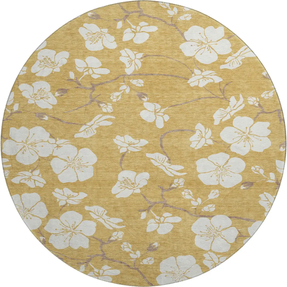 Mayfield AMF1032 Gold 8' x 8' Rug