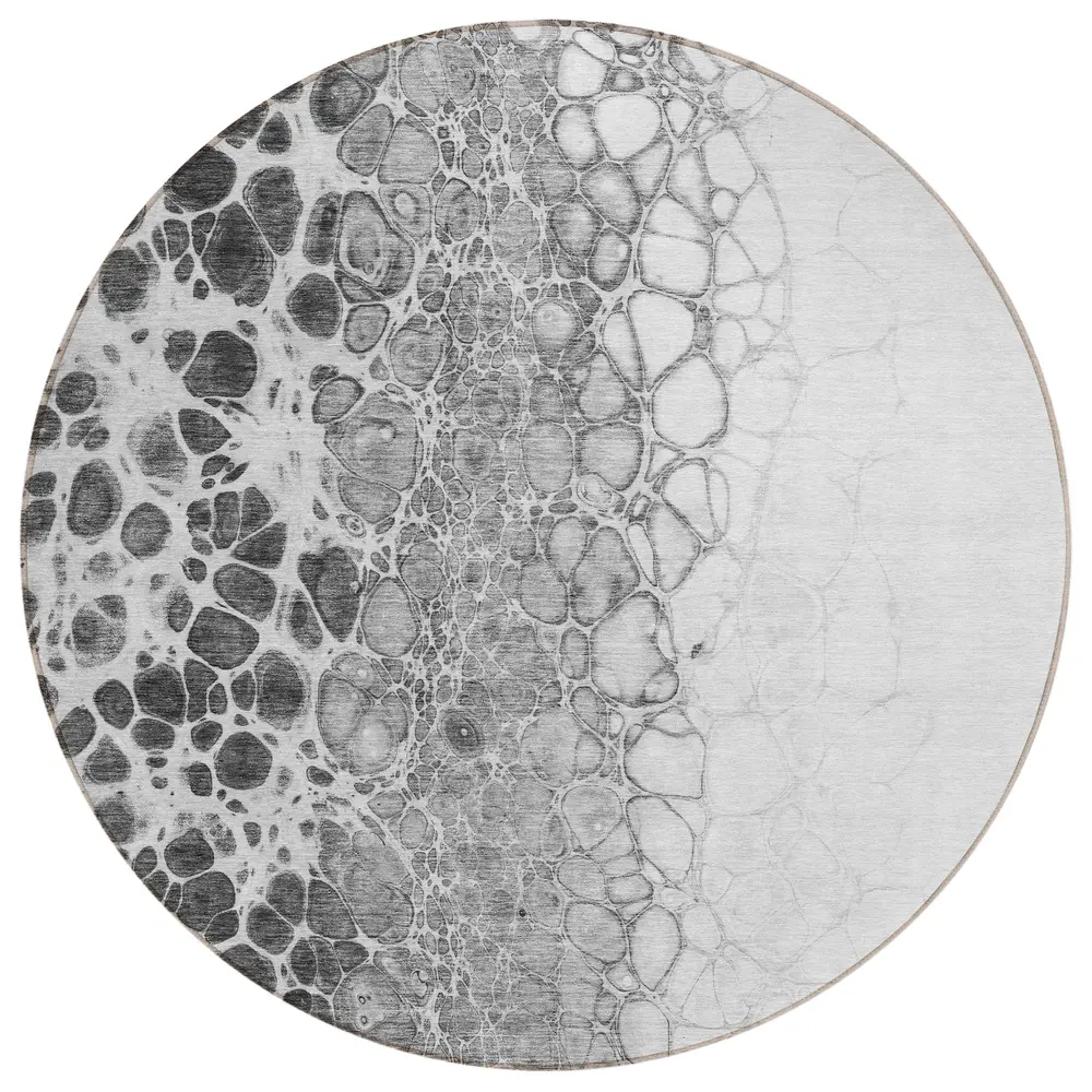 Chantille ACN707 Gray 8' x 8' Rug