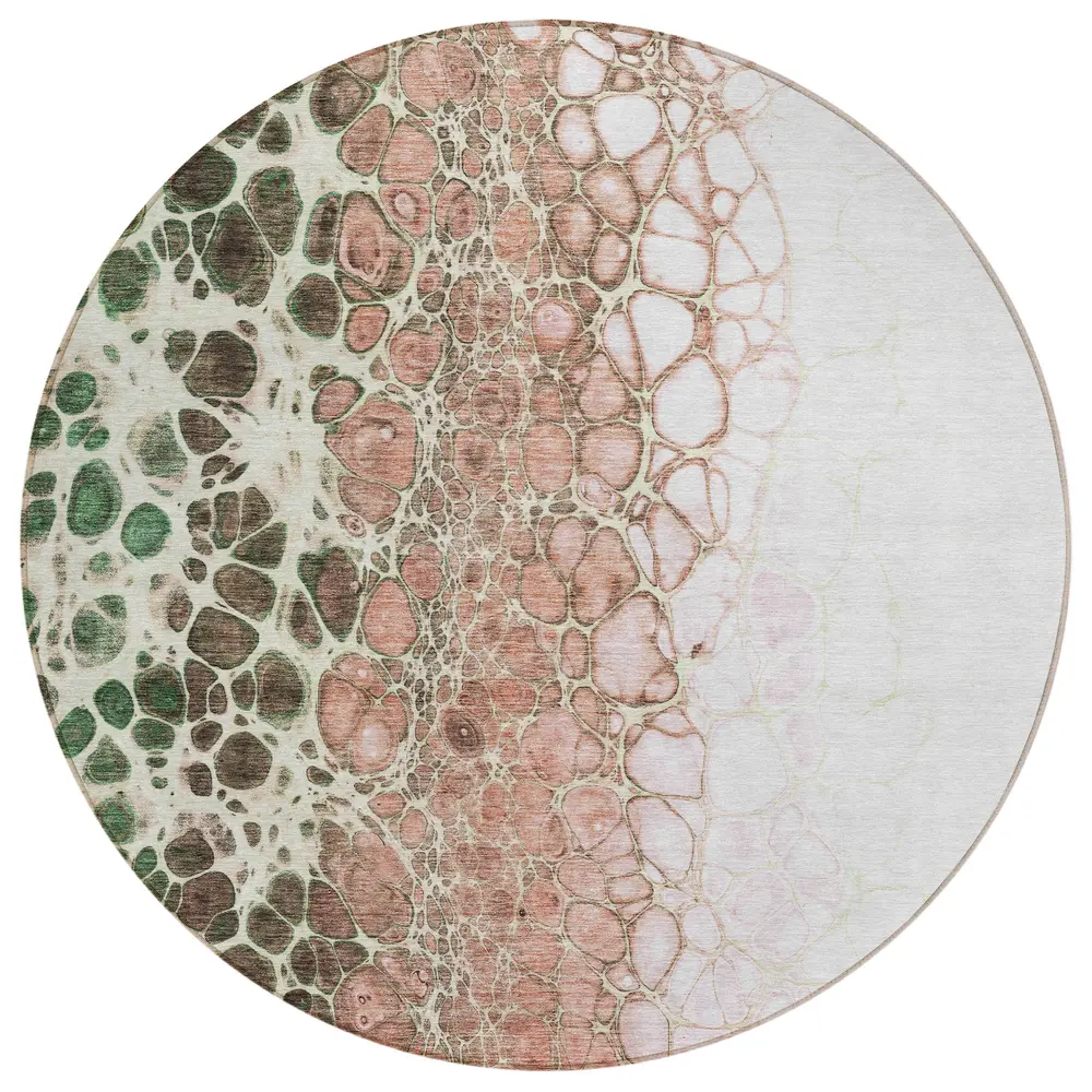 Chantille ACN707 Salmon 8' x 8' Rug