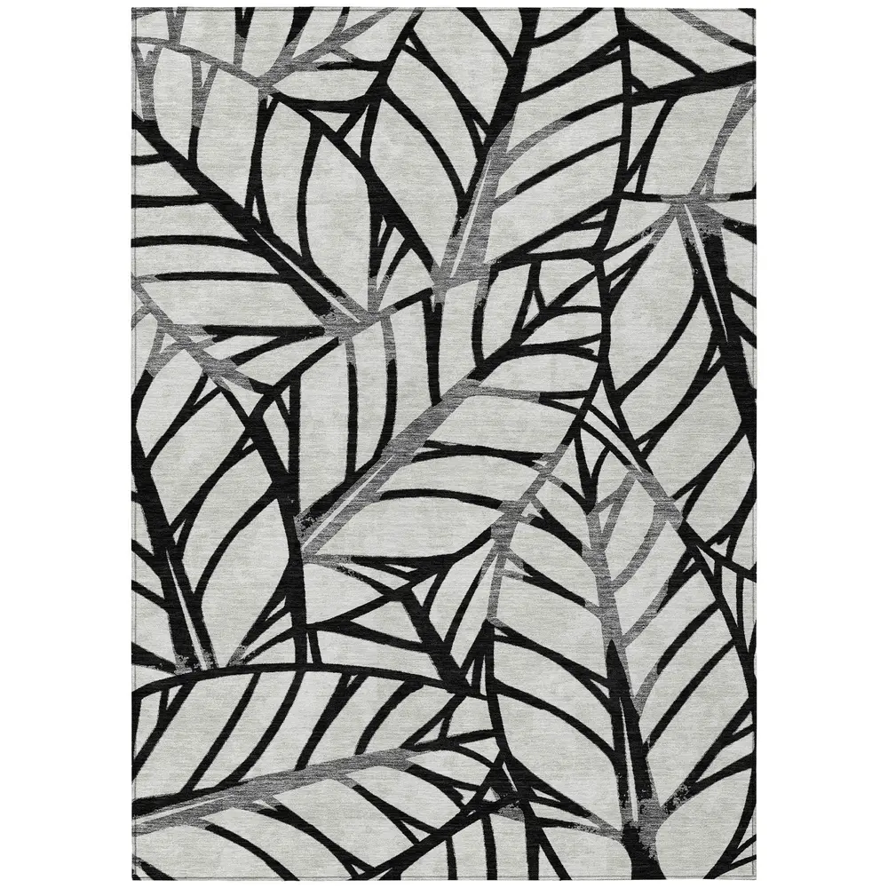 Chantille ACN741 Black 2'6