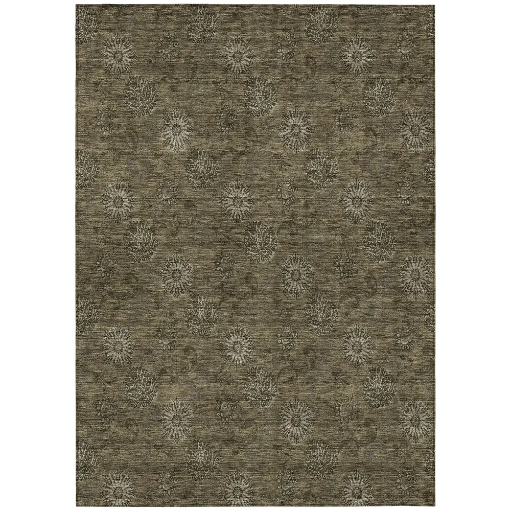 Chantille ACN788 Brown 2'6