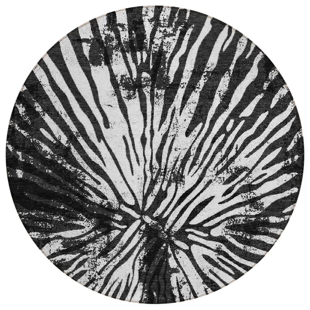 Chantille ACN818 Black 8' x 8' Rug