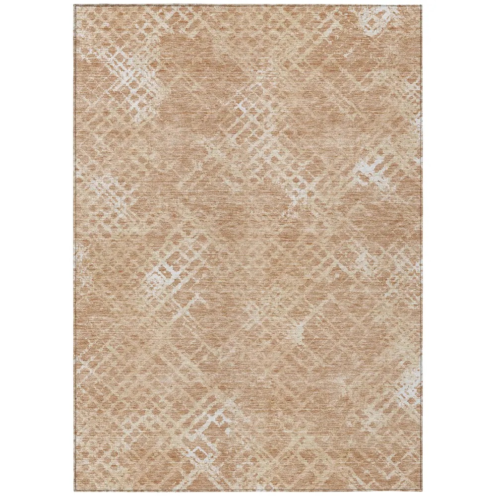 Chantille ACN825 Coral 5' x 7'6