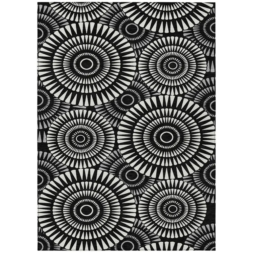 Chantille ACN877 Black 2'6