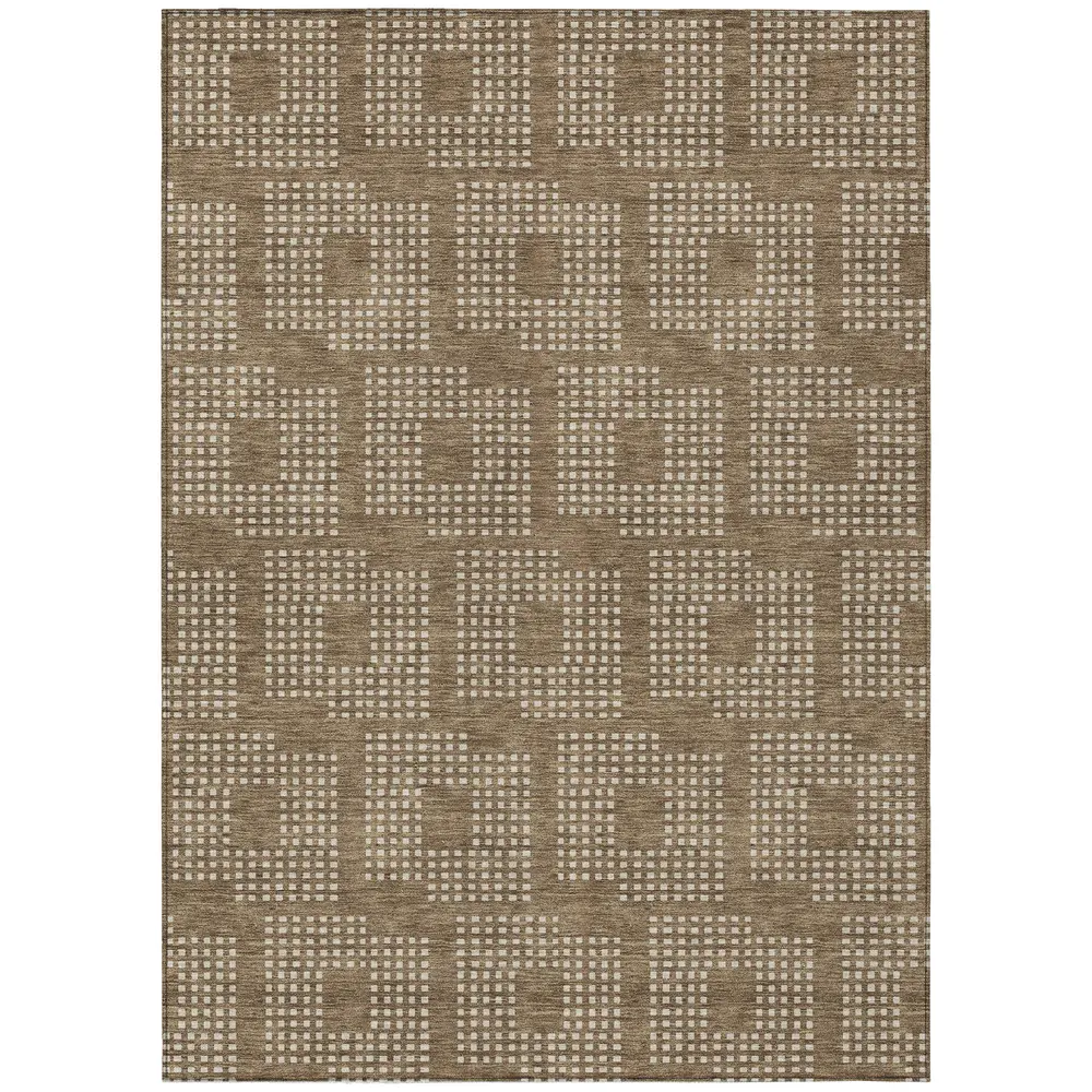 Chantille ACN890 Brown 2'6