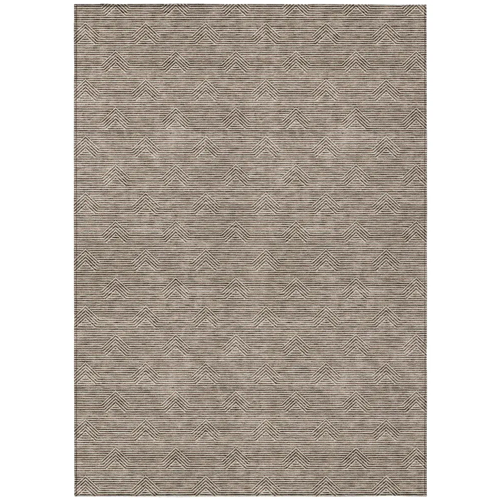 Chantille ACN910 Brown 2'6