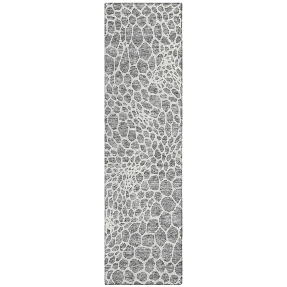 Chantille ACN919 Gray 2'3