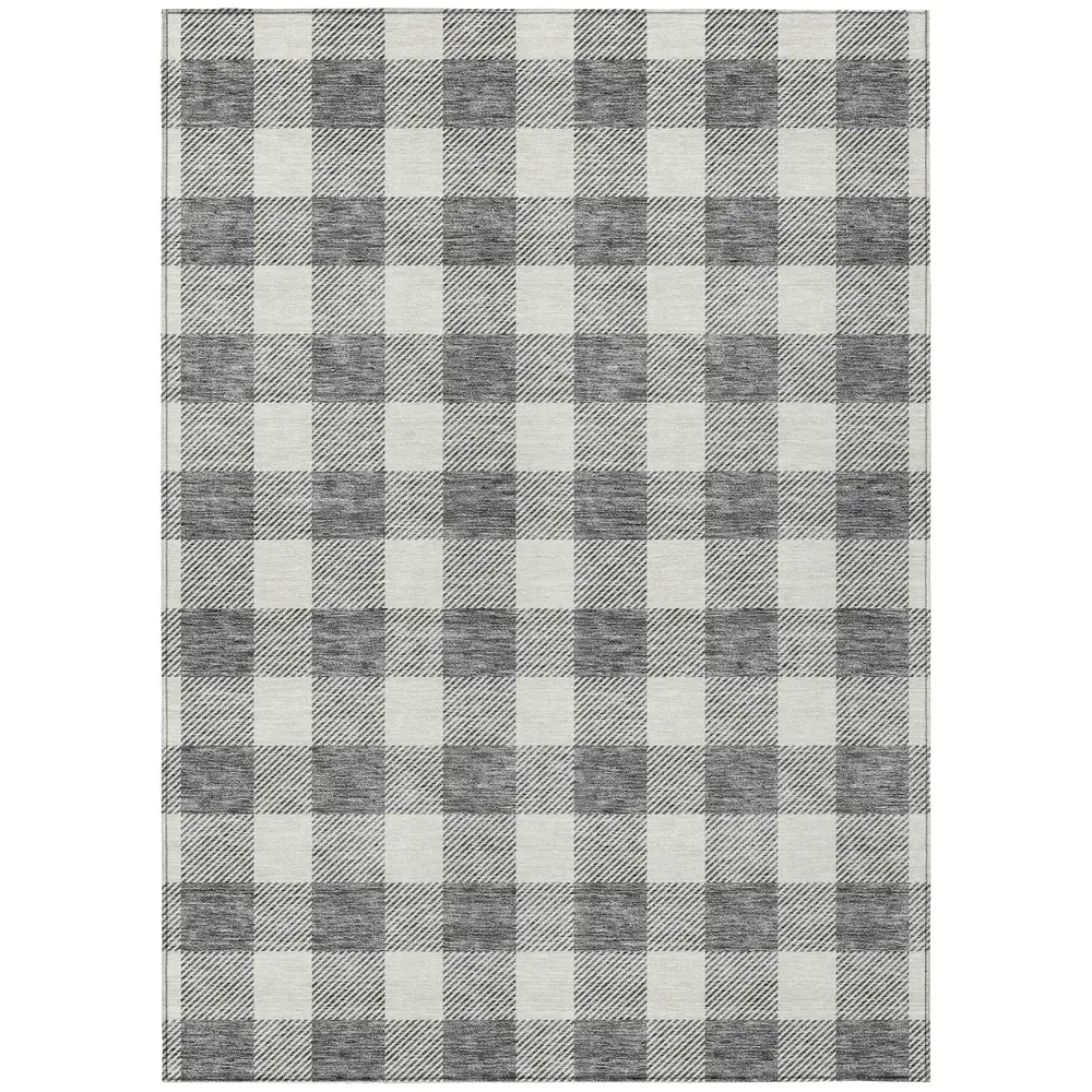 Chantille ACN923 Gray 2'6