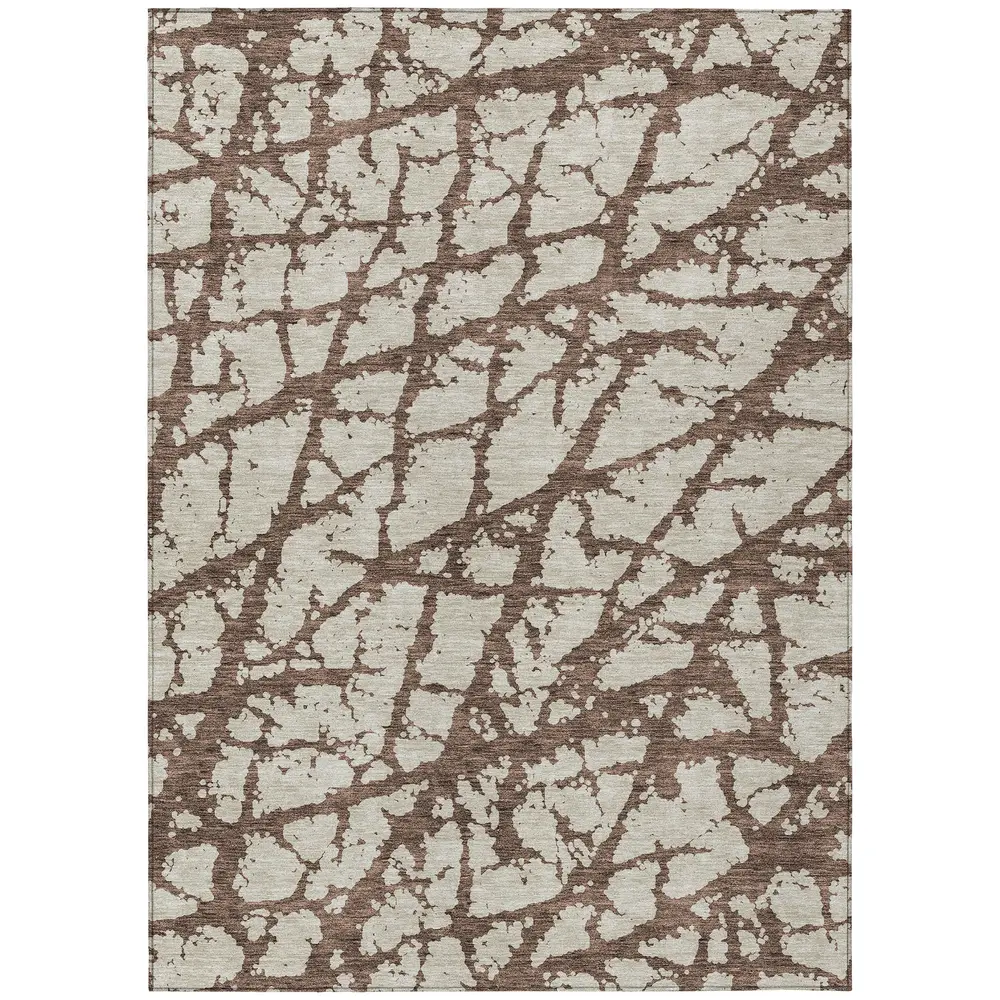 Chantille ACN972 Brown 2'6