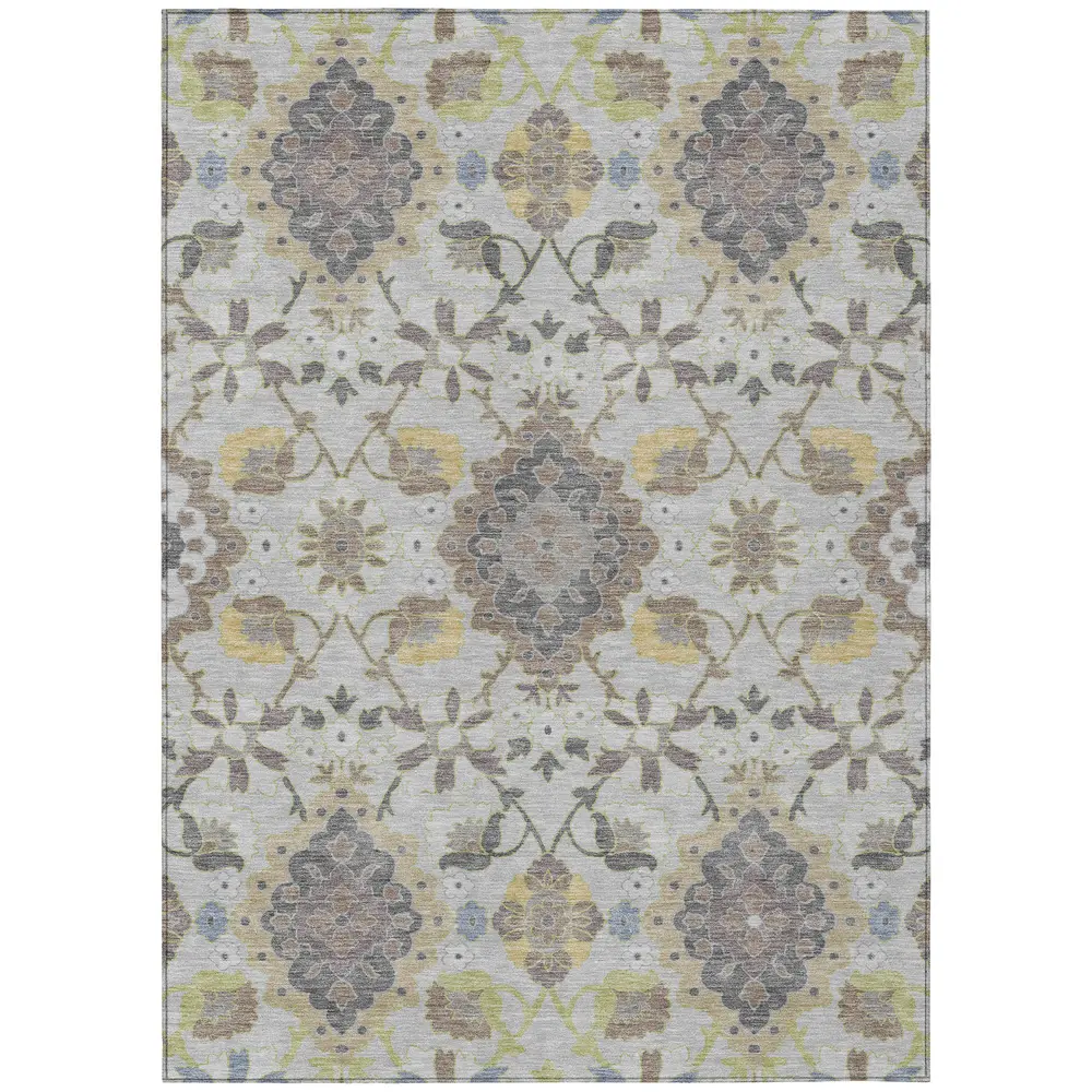 Chantille ACN1002 Gray 2'6