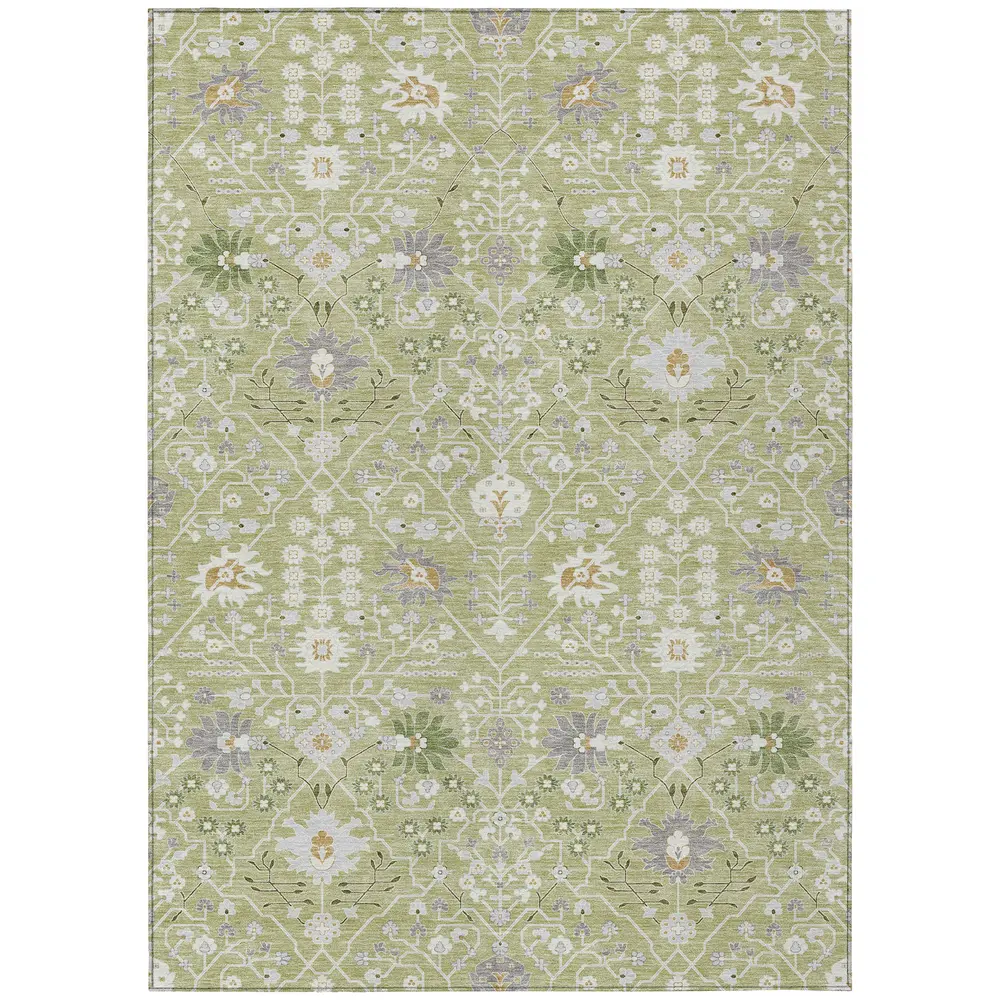 Chantille ACN1009 Aloe 8' x 10' Rug