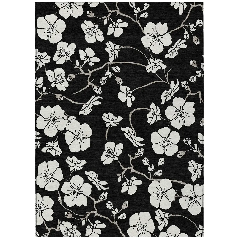 Chantille ACN1032 Black 5' x 7'6