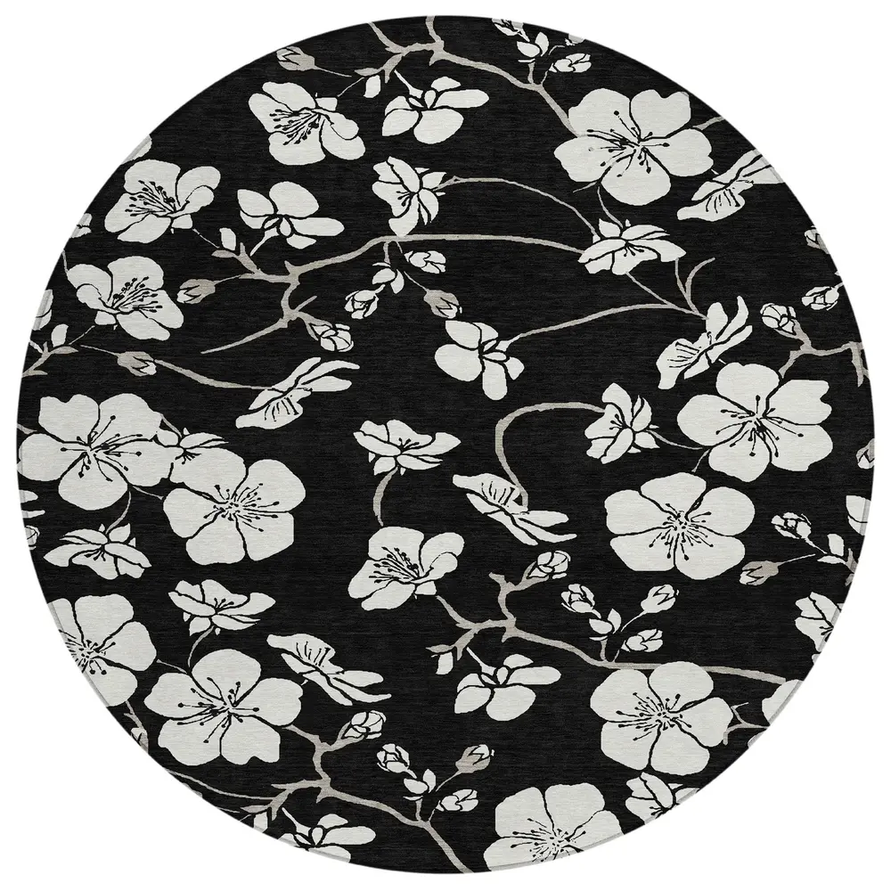 Chantille ACN1032 Black 8' x 8' Rug