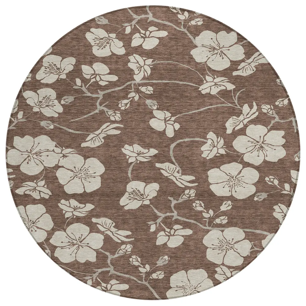 Chantille ACN1032 Brown 8' x 8' Rug