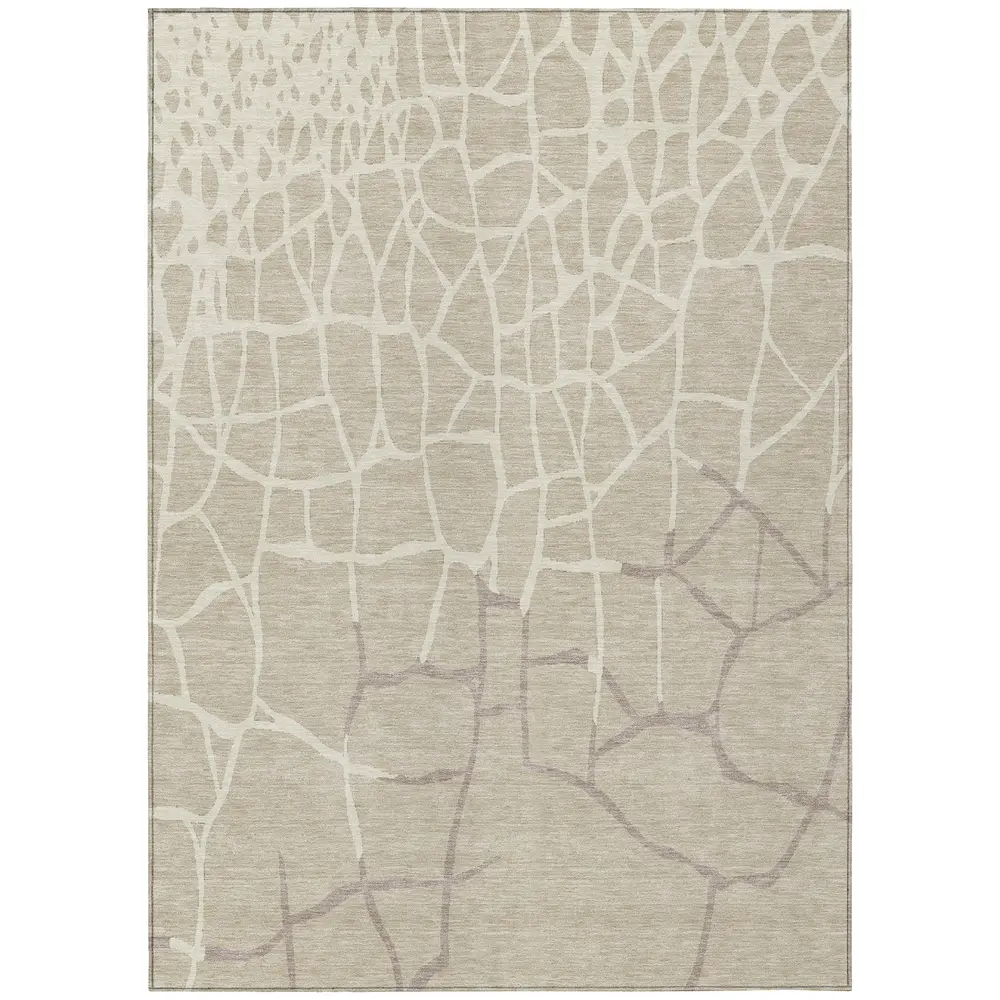 Chantille ACN1049 Beige 2'6