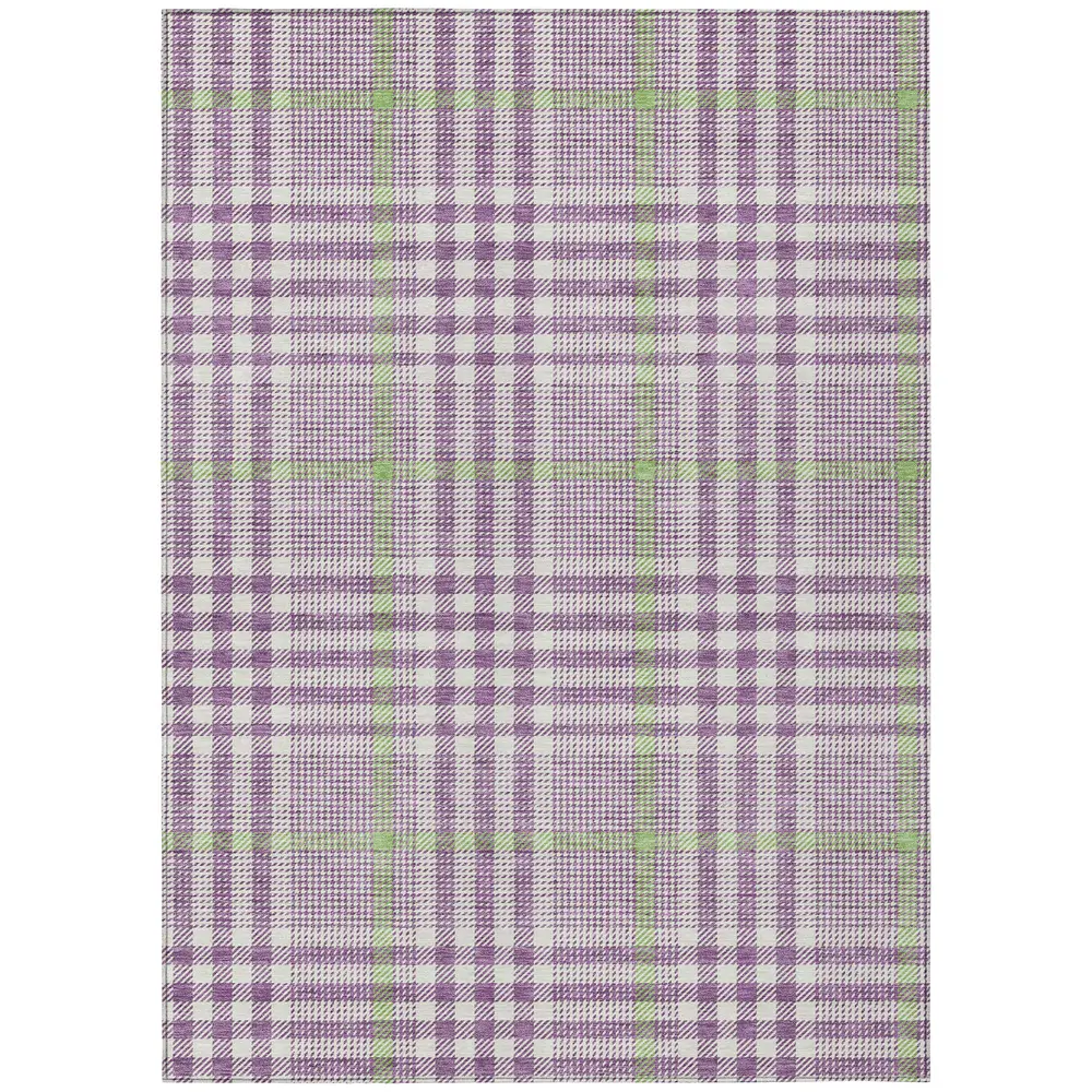 Chantille ACN1054 Purple 2'6