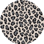 Snow Leopard