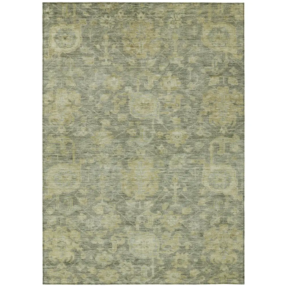 Chantille ACN1105 Sage 5' x 7'6