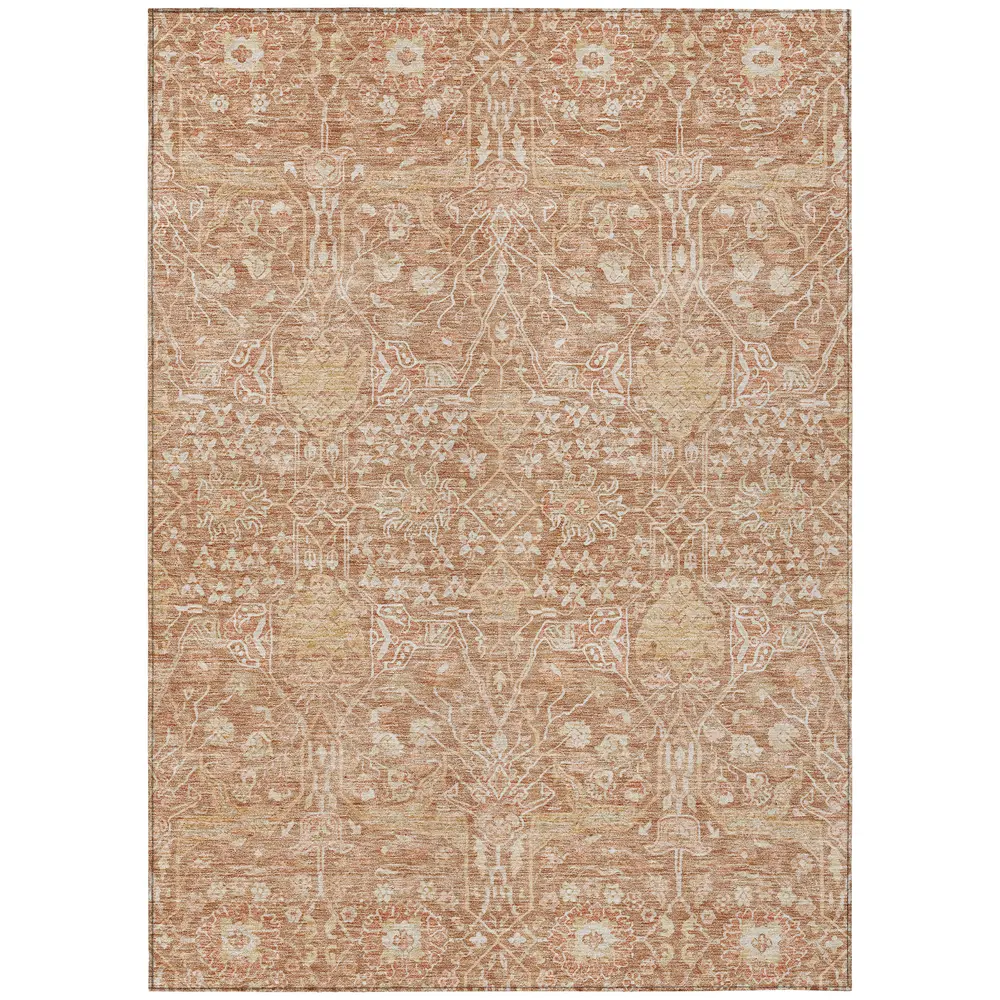 Chantille ACN1133 Coral 8' x 10' Rug
