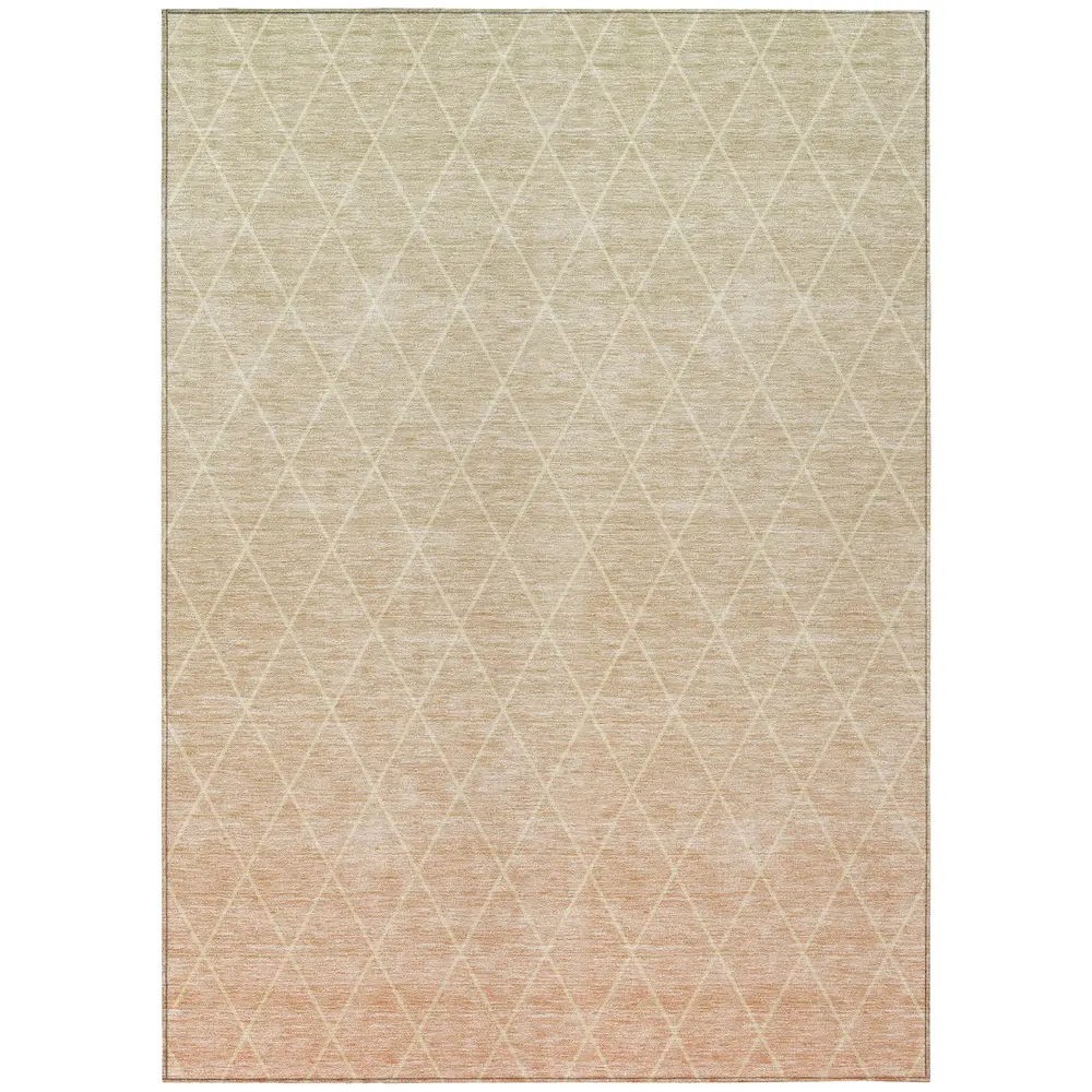 Chantille ACN1175 Salmon 5' x 7'6