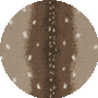 Chital Sable