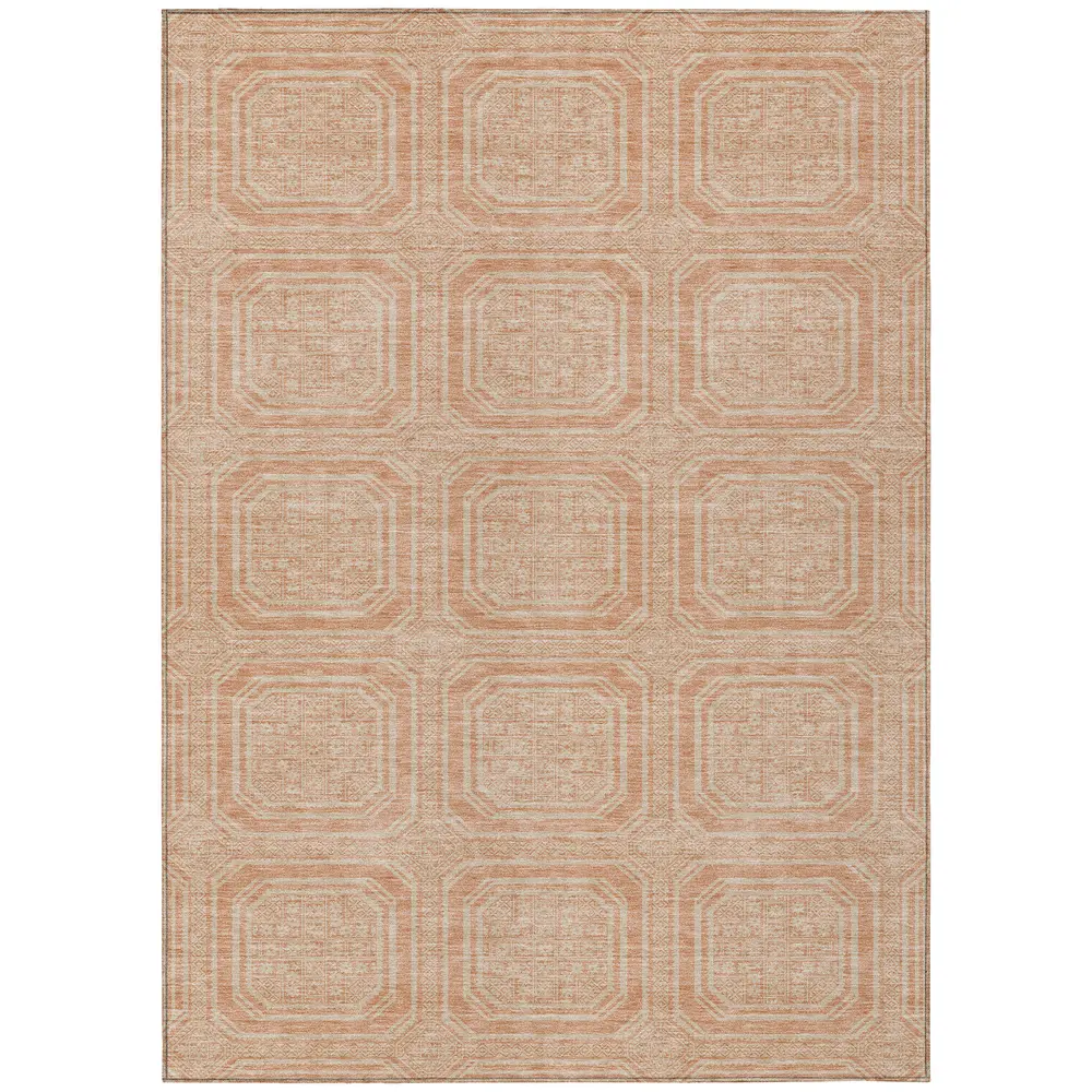 Chantille ACN1460 Peach 5' x 7'6