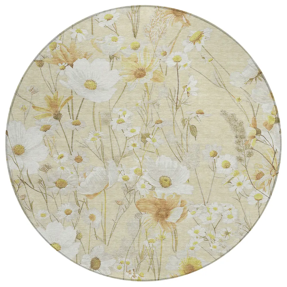 Chantille ACN1505 Wheat 8' x 8' Rug