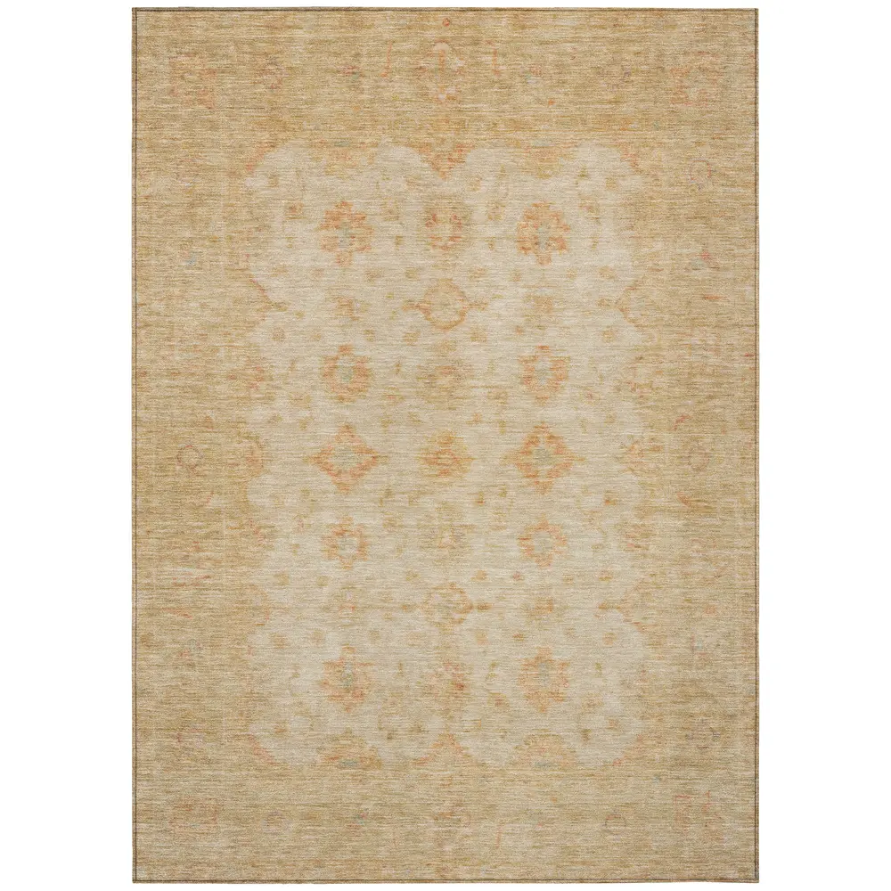 Chantille ACN1643 Beige 2'6