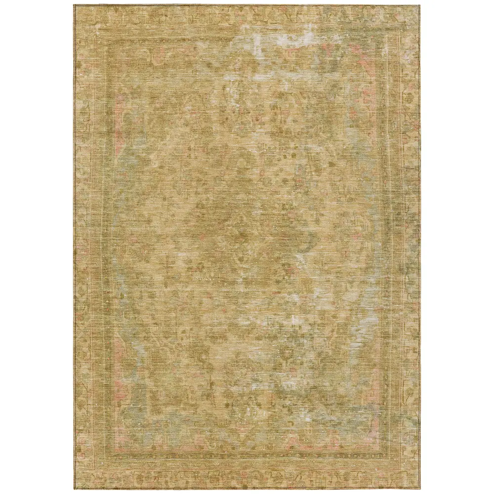 Chantille ACN1646 Coral 5' x 7'6