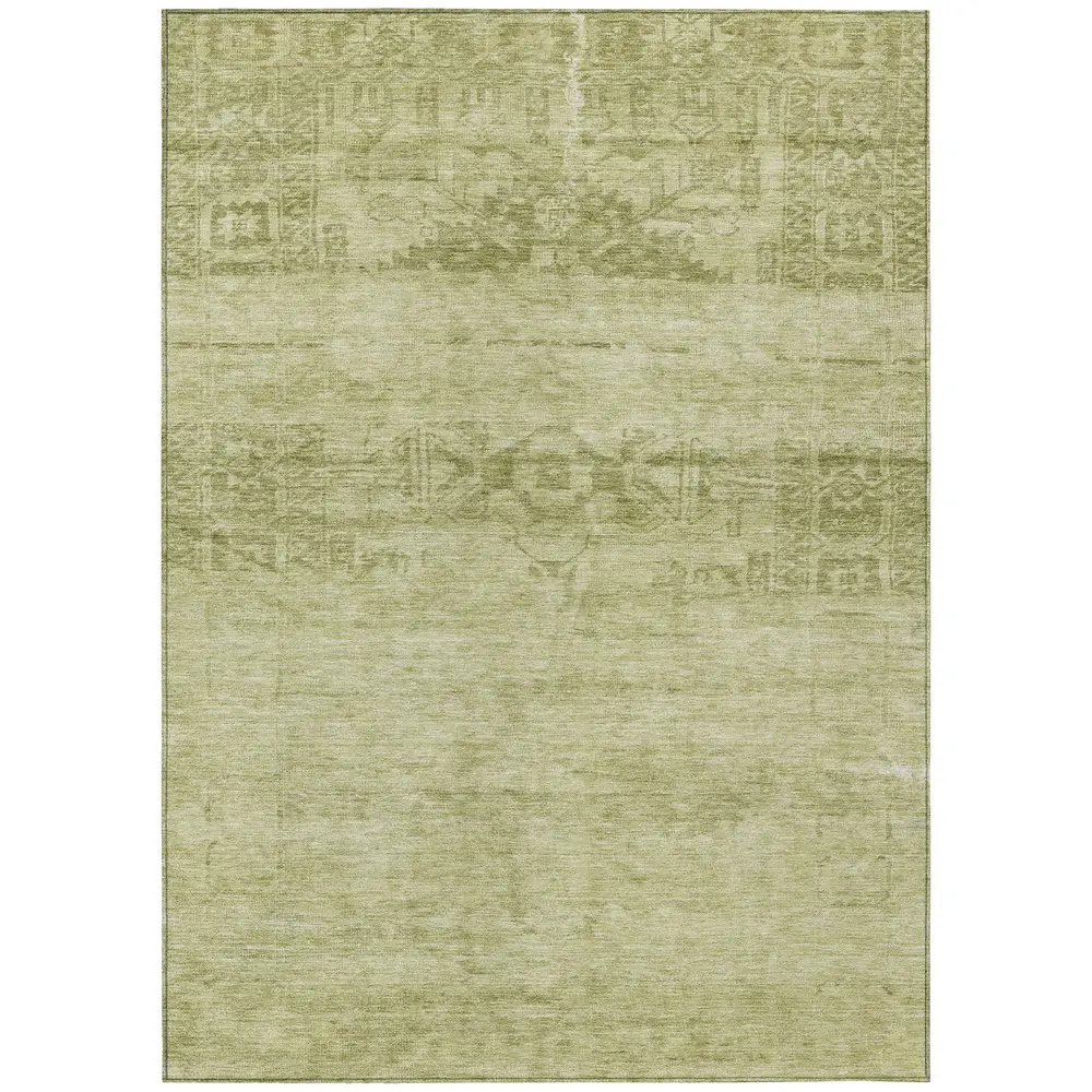 Chantille ACN1647 Aloe 5' x 7'6