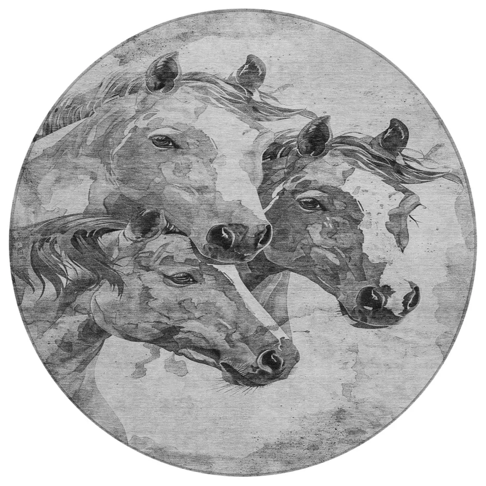 Chantille ACN1718 Gray 8' x 8' Rug