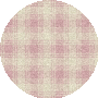 Carnation