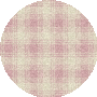Carnation