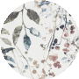 Ivory Multicolor
